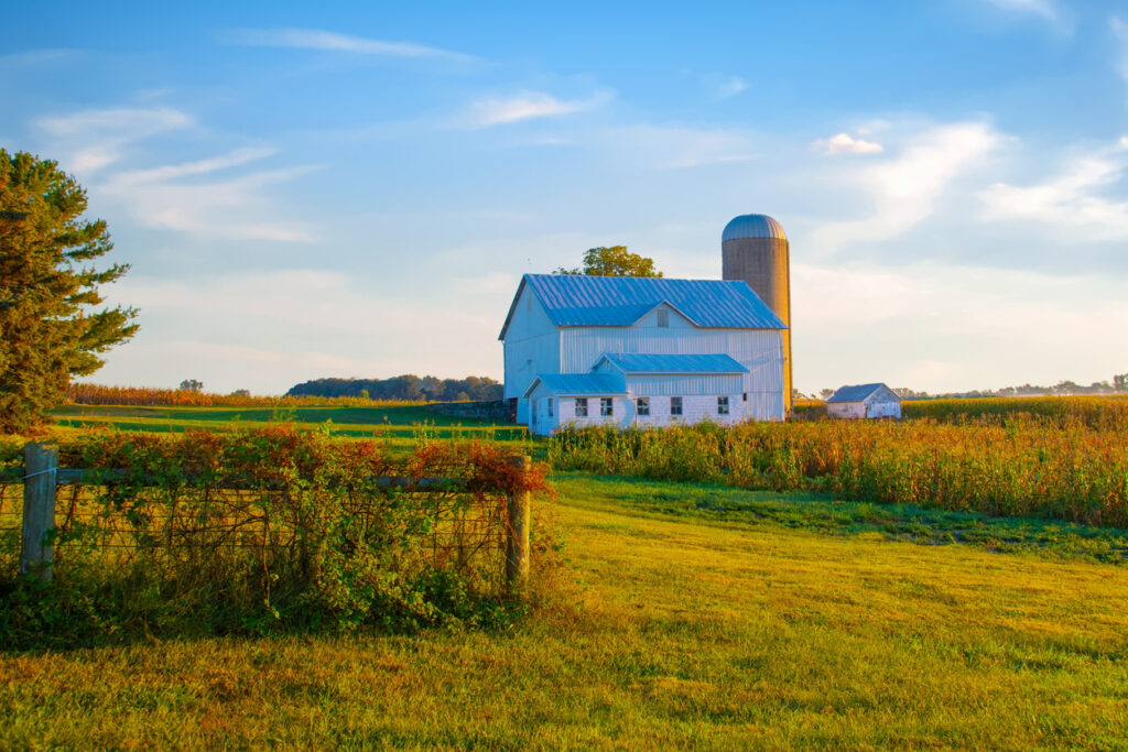 The Ultimate Guide to Barn Painting in Ontario: Tips and Tricks