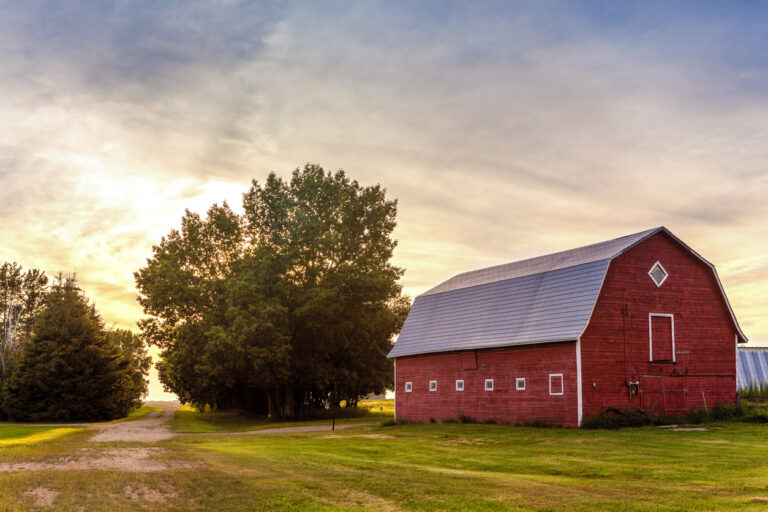 DIY vs. Professional Barn Painting