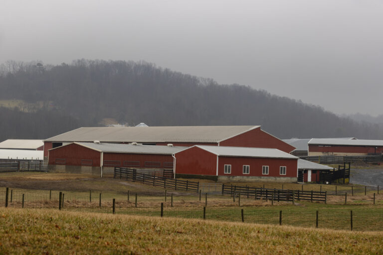 how weather affects barn paint