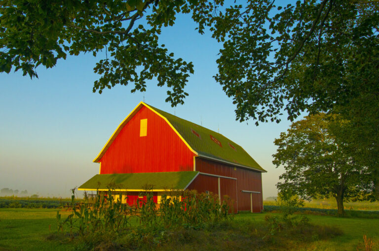 Choosing the Right Paint Colors for Your Ontario Barn